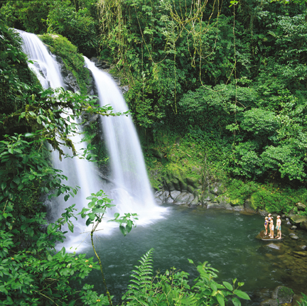 Poas Volcano National Park rainforest trail